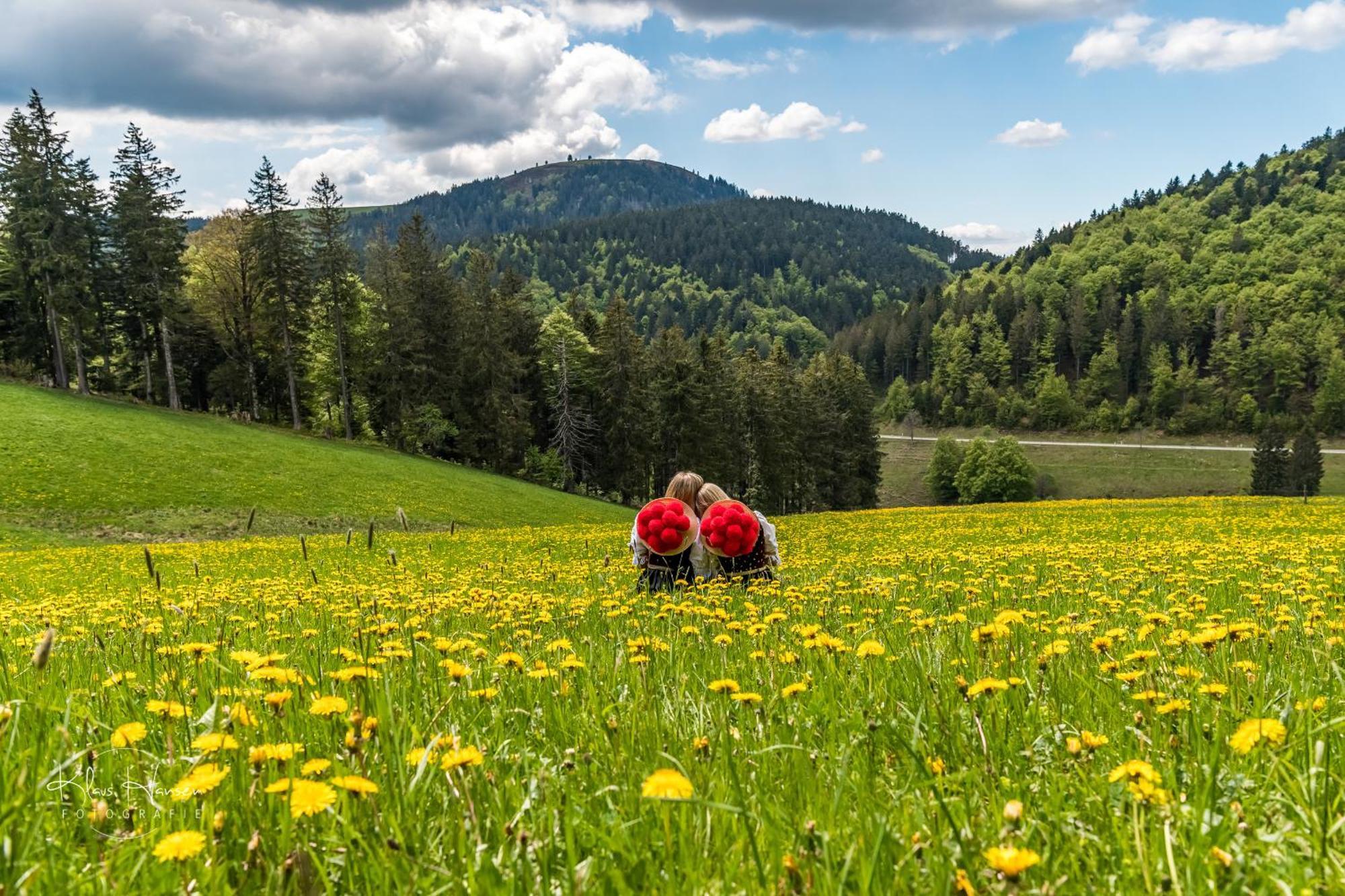 Вілла Schwarzwaldhaus Sonnenstrasse, Oberried-Hofsgrund, Dreisamtal Оберрід Екстер'єр фото