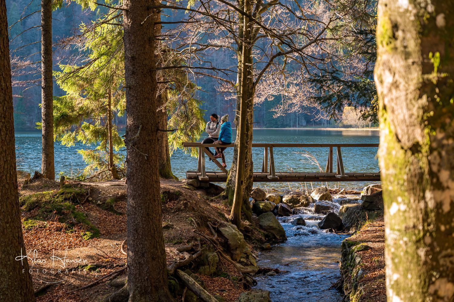 Вілла Schwarzwaldhaus Sonnenstrasse, Oberried-Hofsgrund, Dreisamtal Оберрід Екстер'єр фото