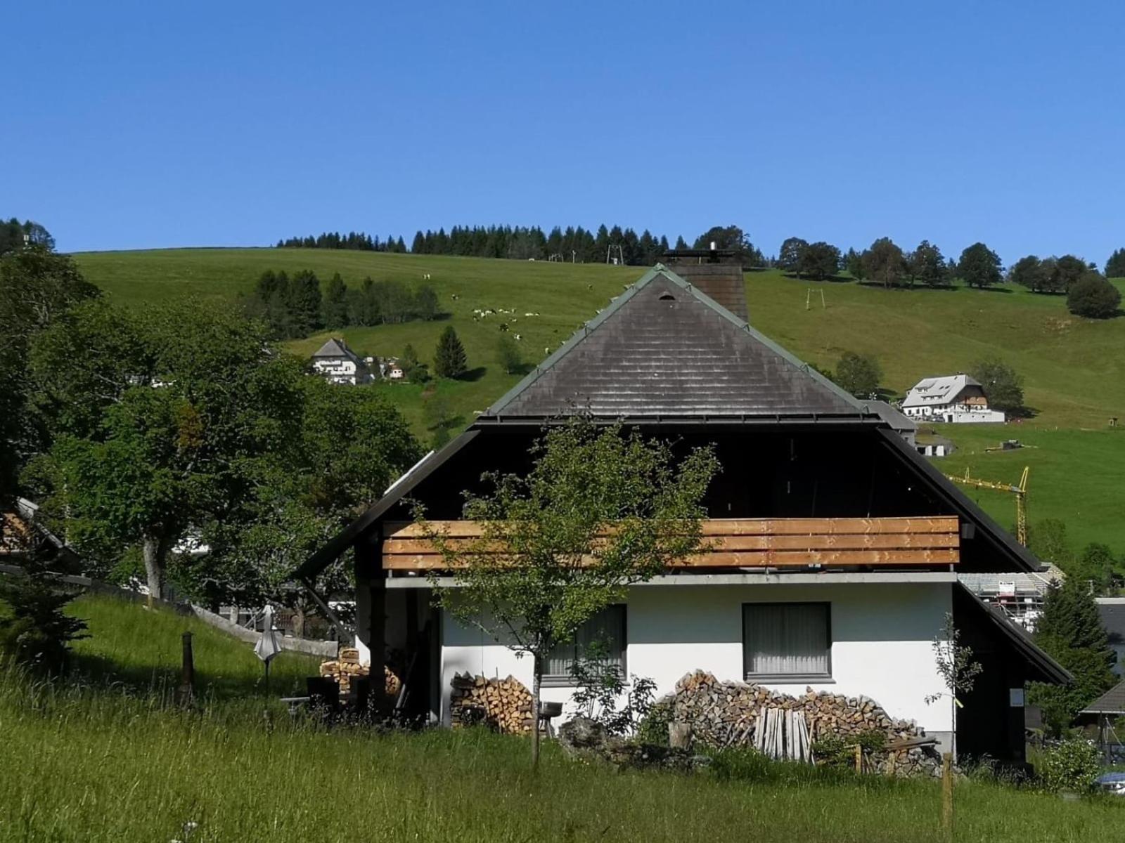 Вілла Schwarzwaldhaus Sonnenstrasse, Oberried-Hofsgrund, Dreisamtal Оберрід Екстер'єр фото