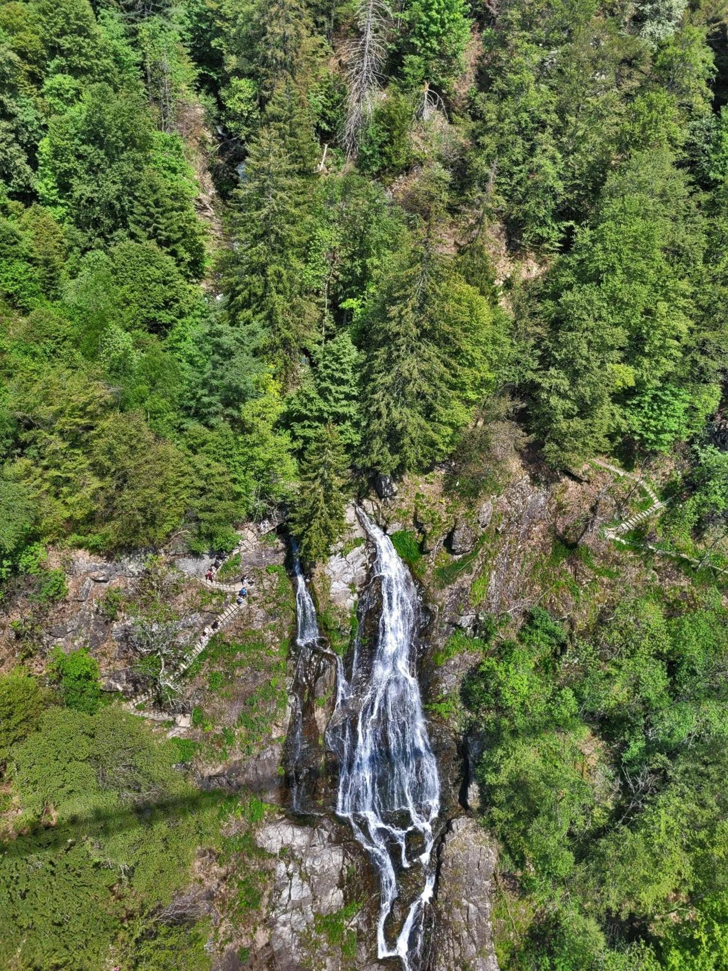 Вілла Schwarzwaldhaus Sonnenstrasse, Oberried-Hofsgrund, Dreisamtal Оберрід Екстер'єр фото